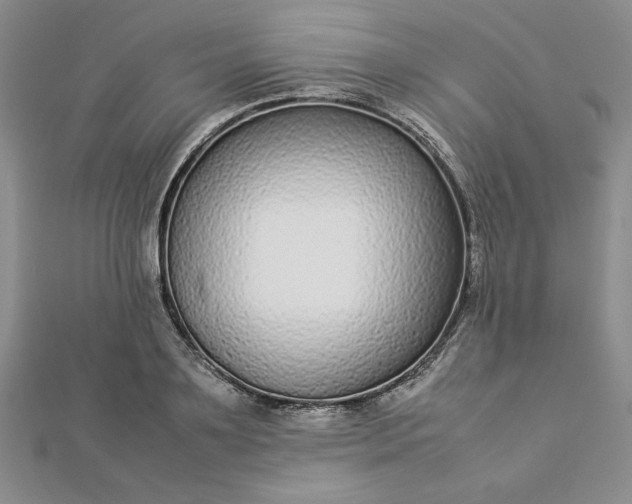 X0000112870891200909041619