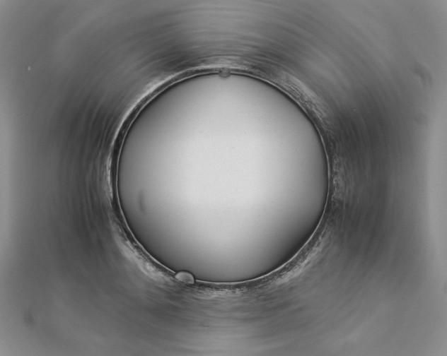 X0000112870892200909041619