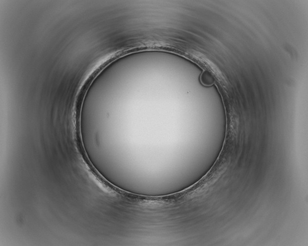 X0000112870894200909041619