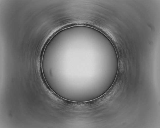 X0000112870895200909041619