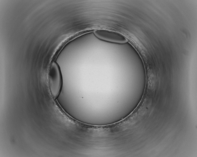 X0000112870896200909041619