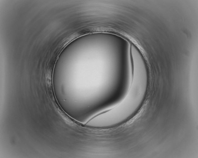 X0000112870897200909041619