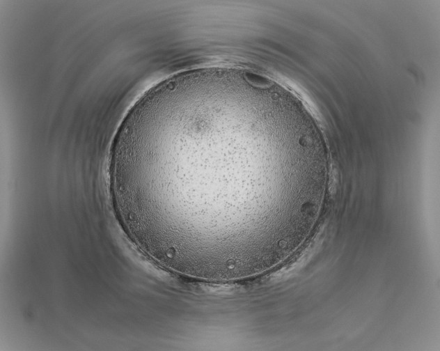 X0000112870899200909041619