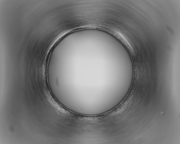 X0000112870900200909041619