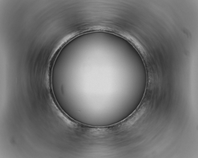 X0000112870902200909041619