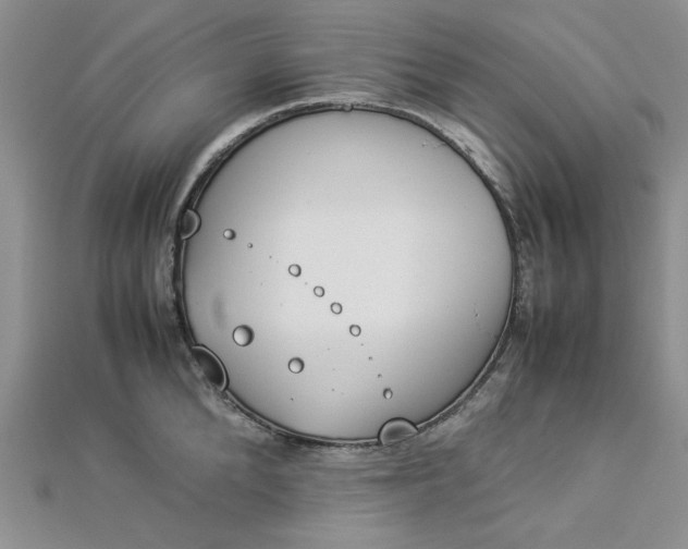 X0000112870904200909041619