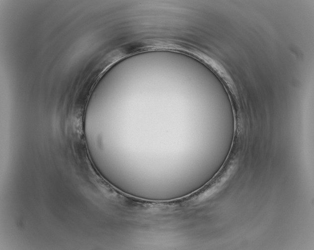 X0000112870905200909041619