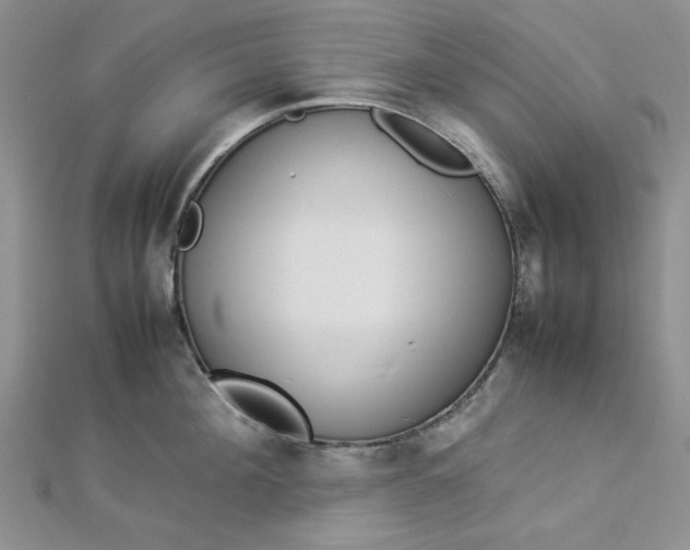 X0000112870908200909041619