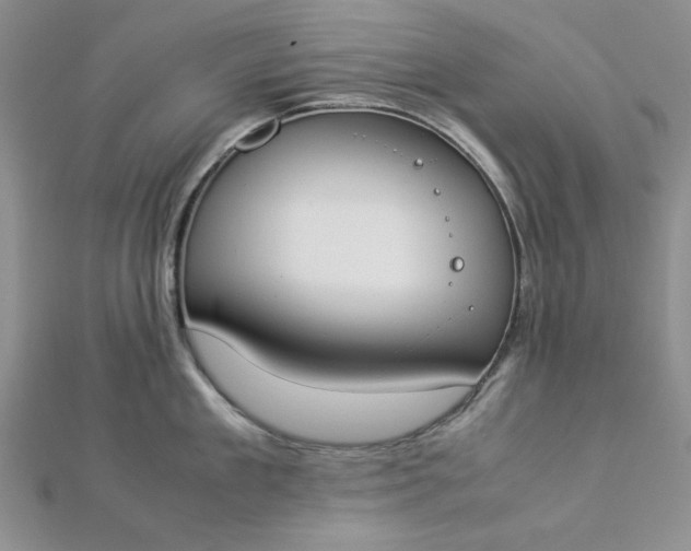 X0000112870909200909041619