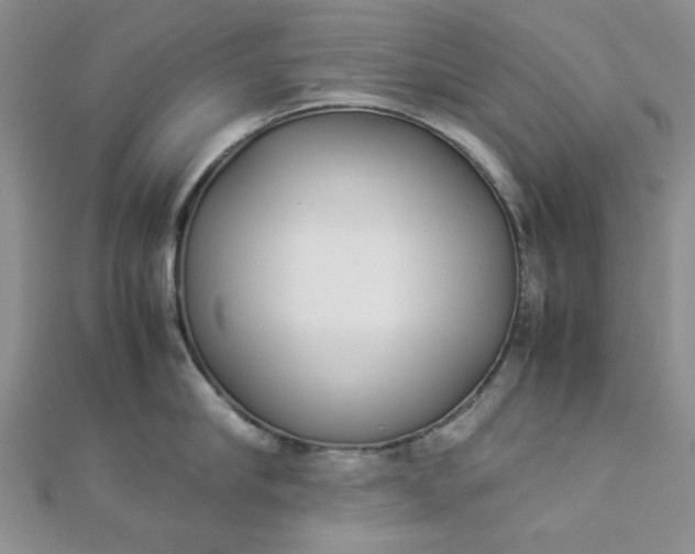 X0000112870910200909041619