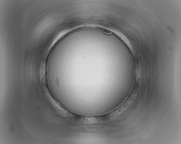 X0000112870911200909041619