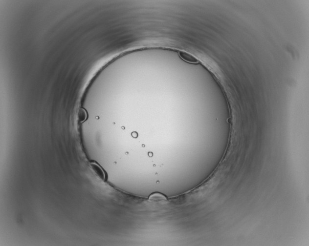 X0000112870912200909041619