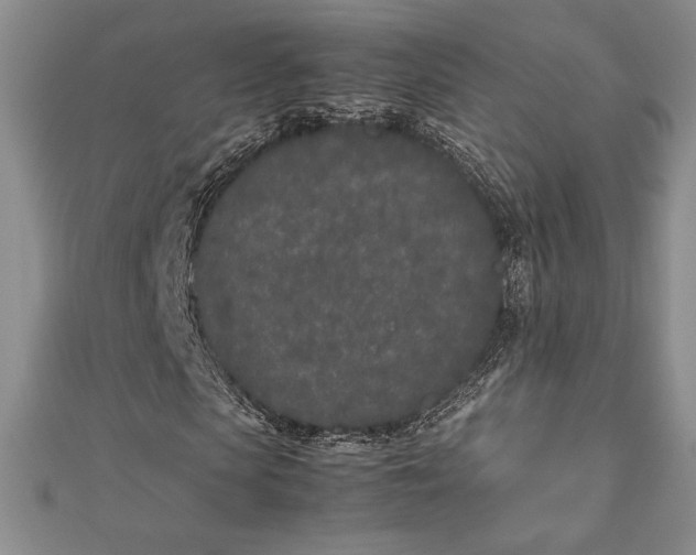 X0000112870913200909041618