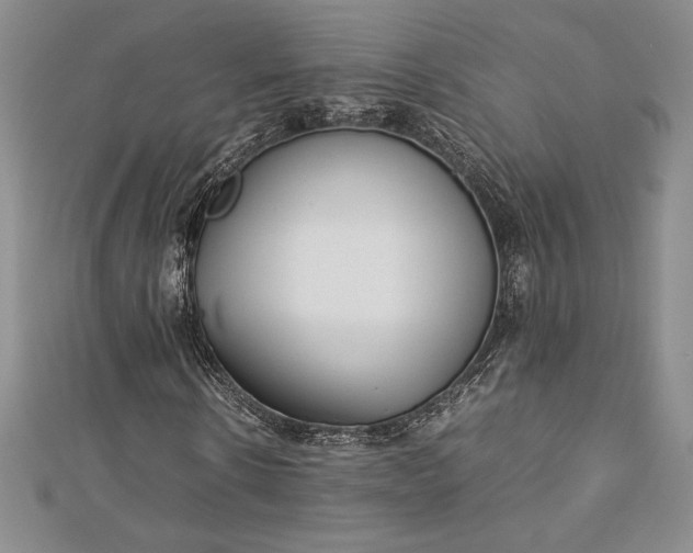 X0000112870914200909041618