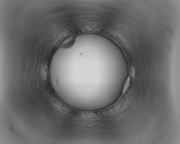 X0000112870915200909041618