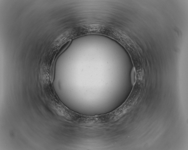 X0000112870916200909041618