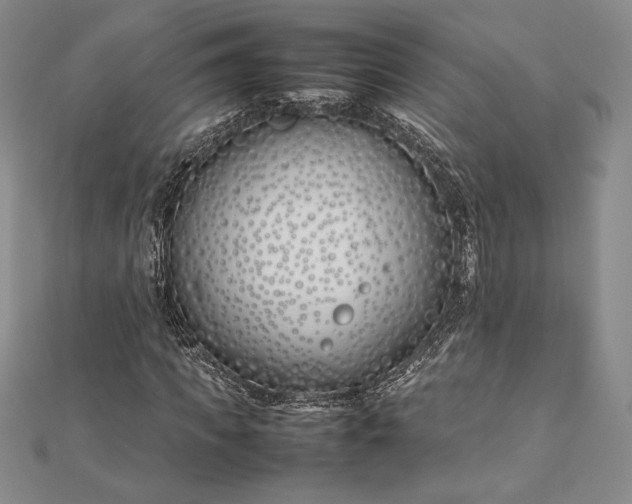 X0000112870917200909041618