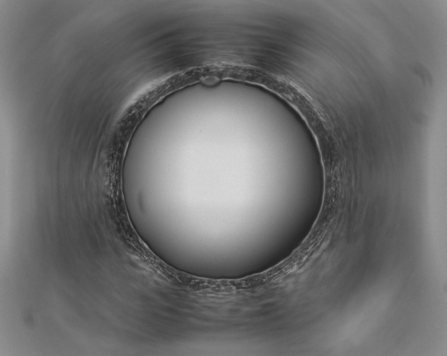 X0000112870919200909041618