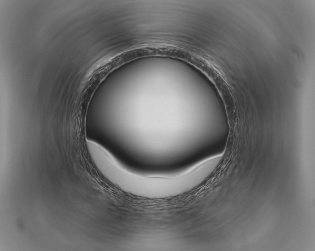 X0000112870920200909041618