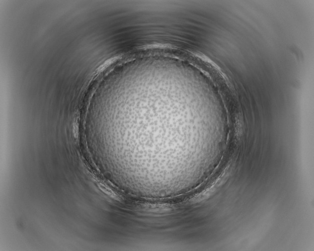 X0000112870921200909041618