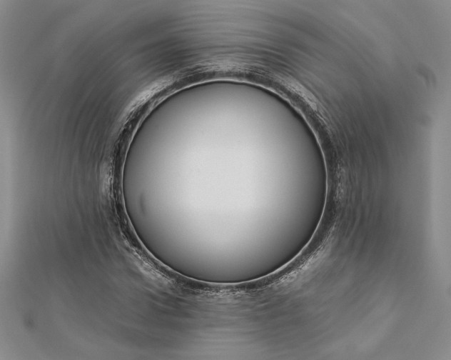 X0000112870922200909041618