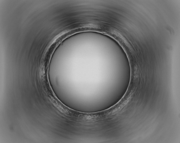 X0000112870923200909041618