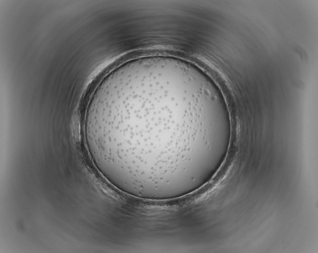 X0000112870925200909041618