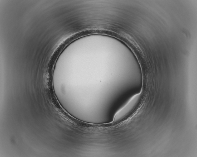 X0000112870926200909041618