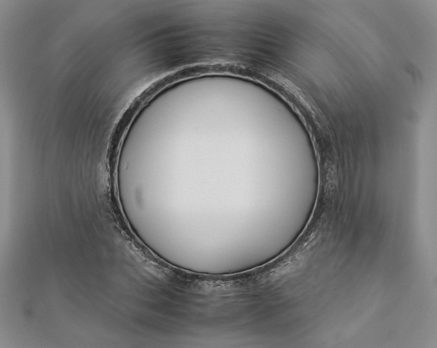 X0000112870927200909041618