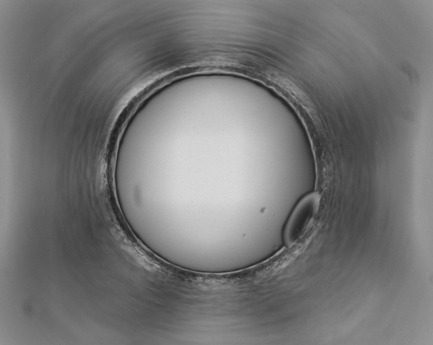 X0000112870928200909041618