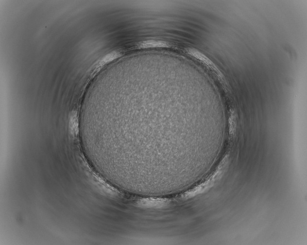 X0000112870929200909041618