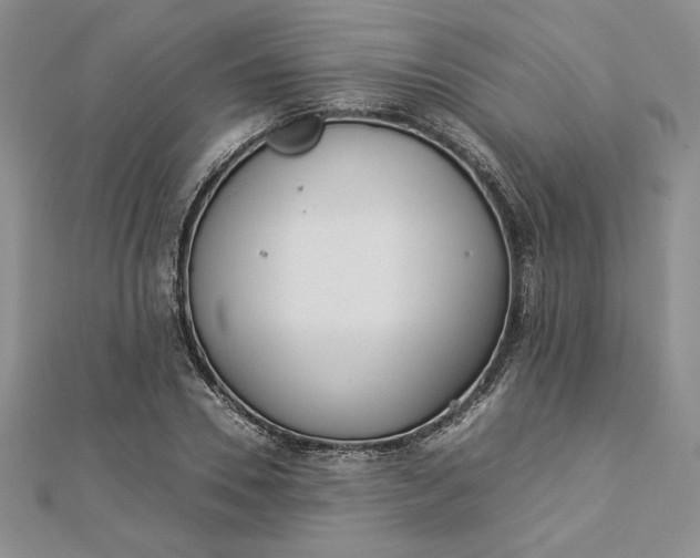 X0000112870930200909041618