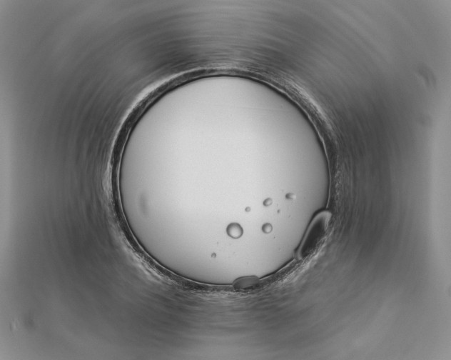 X0000112870932200909041618