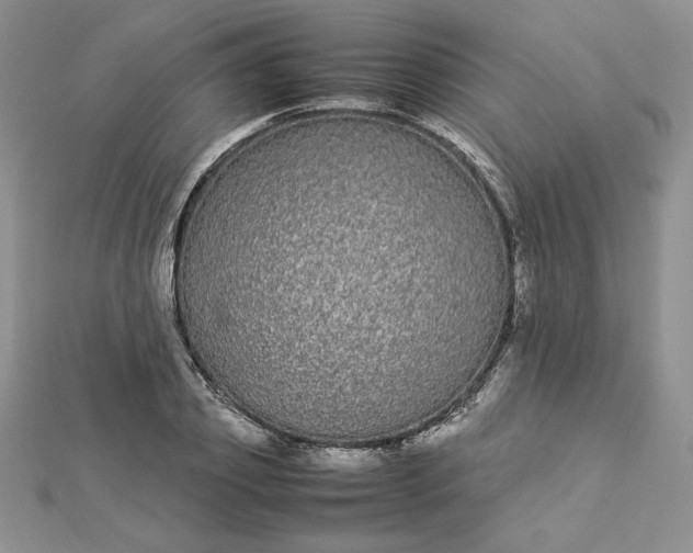 X0000112870933200909041618