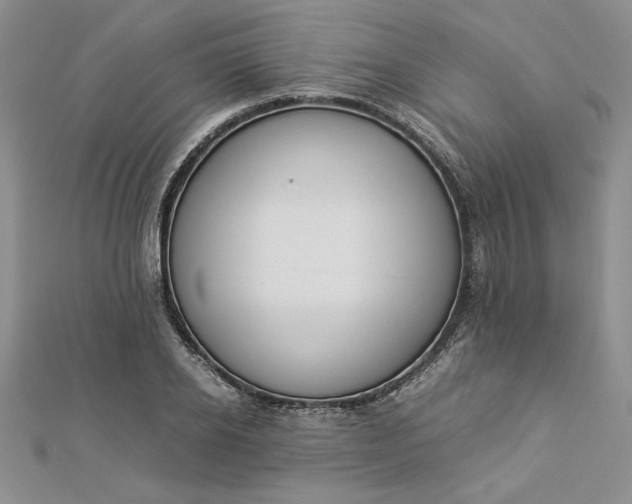 X0000112870934200909041618