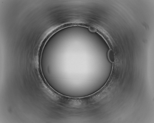 X0000112870935200909041618