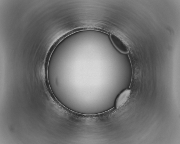 X0000112870936200909041618