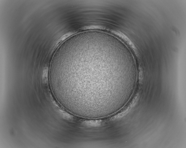 X0000112870937200909041618