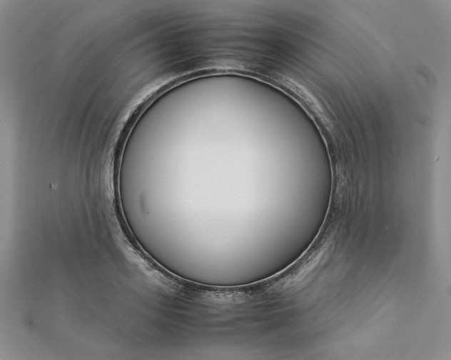 X0000112870939200909041618