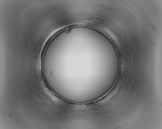 X0000112870940200909041618