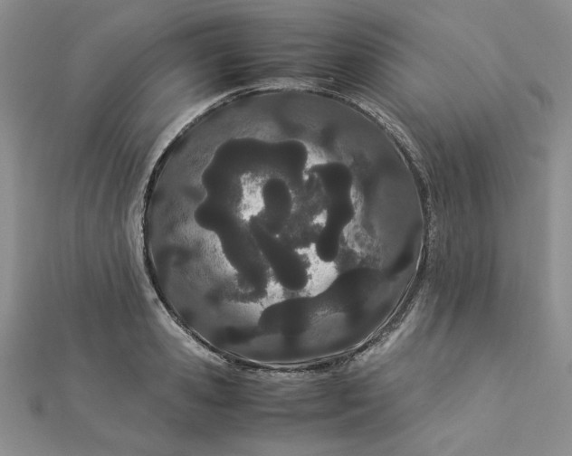 X0000112870941200909041618