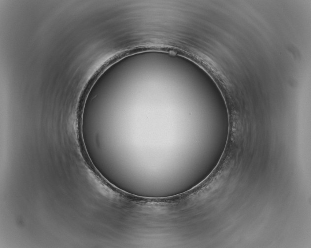 X0000112870942200909041618