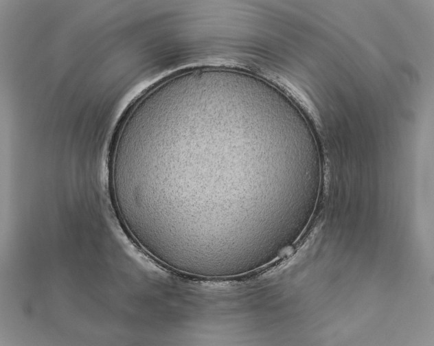 X0000112870944200909041618