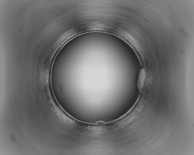 X0000112870946200909041618