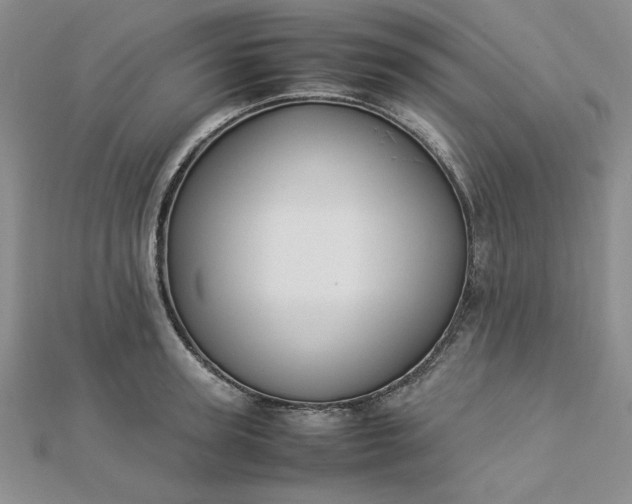 X0000112870947200909041618