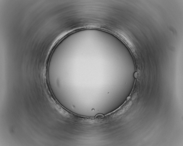 X0000112870948200909041618