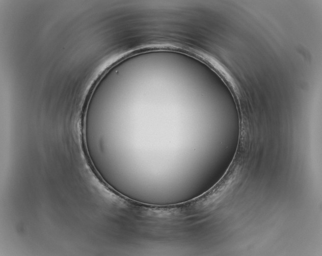 X0000112870951200909041618