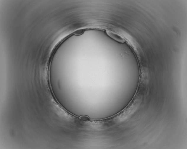 X0000112870952200909041618