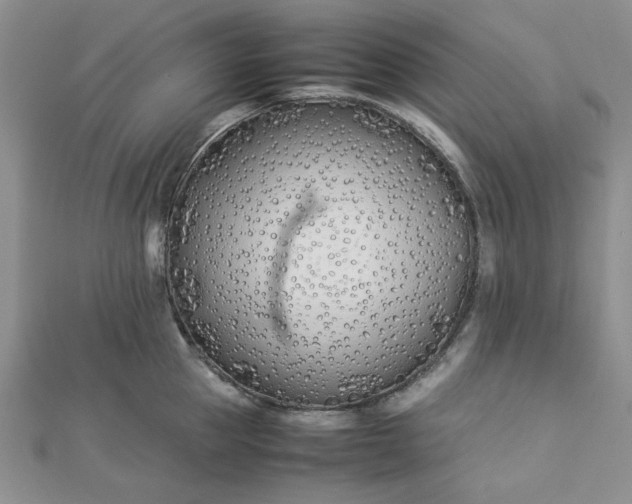 X0000112870953200909041618