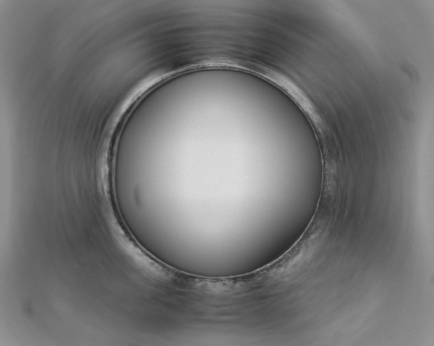 X0000112870955200909041618